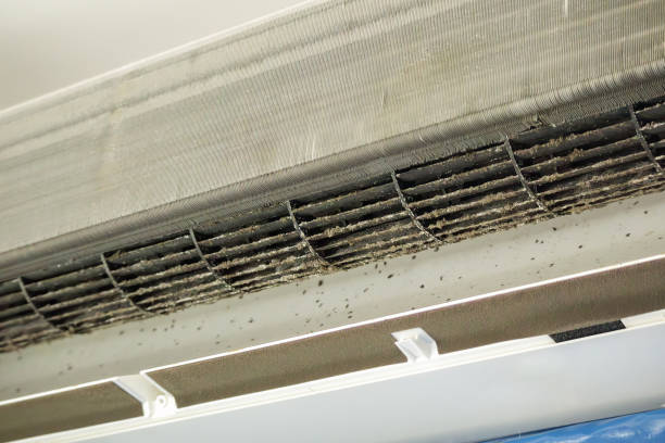 Best Duct Cleaning for Homes  in Altadena, CA